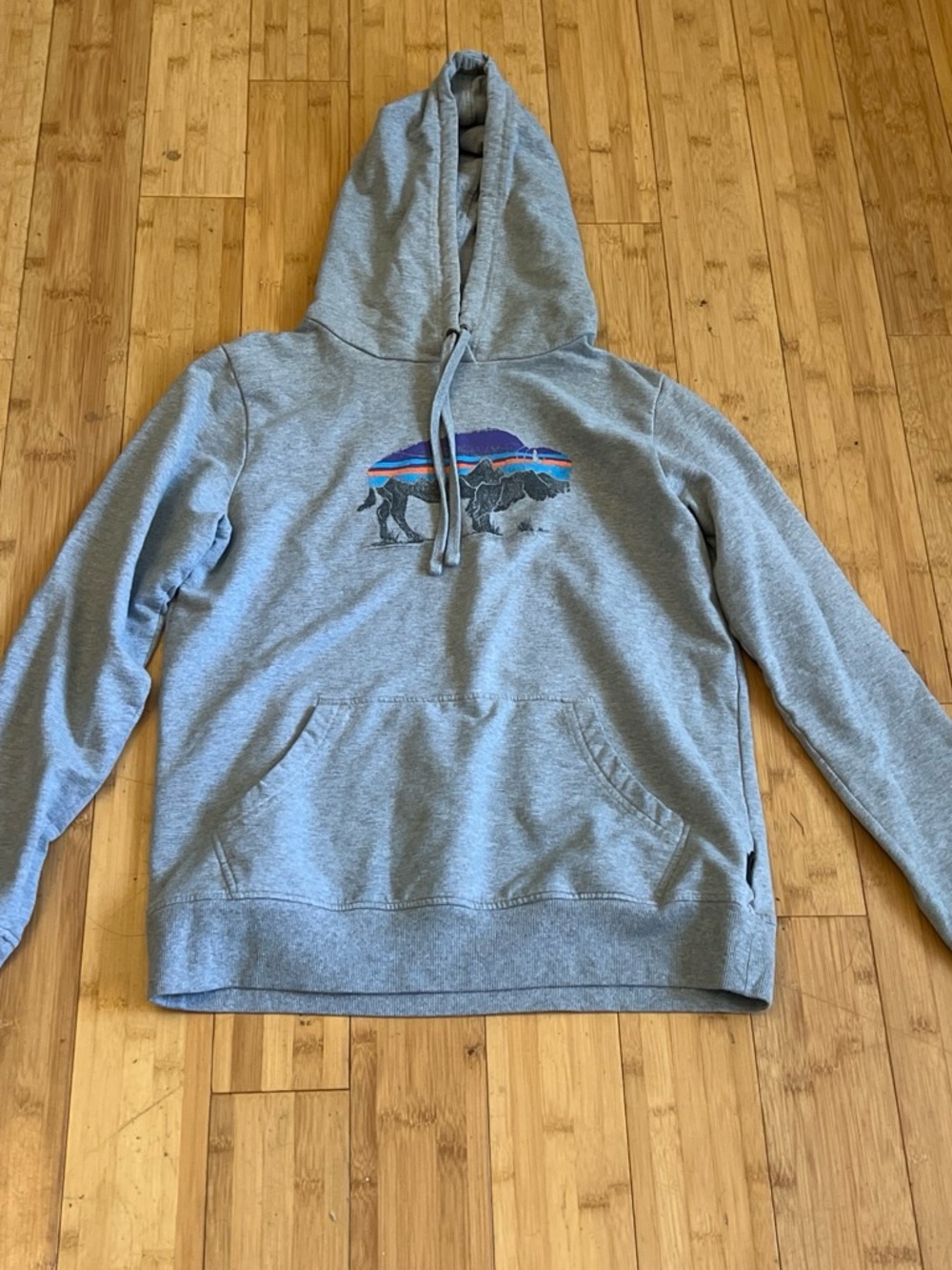 Patagonia Gray Hoodie with Striped Mountain Buffalo Logo